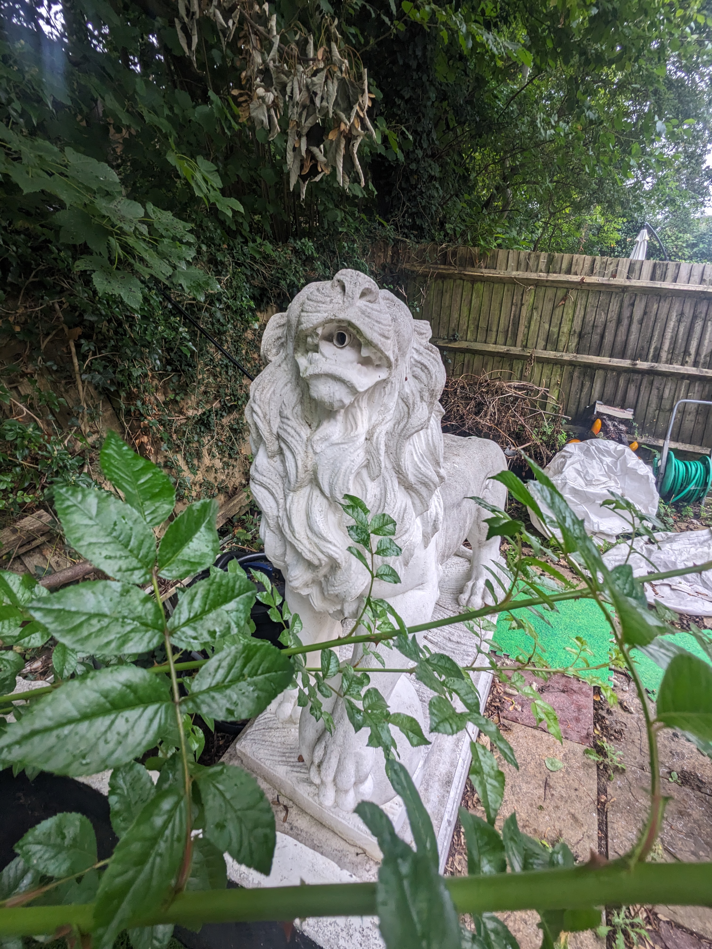 A pair of re-constituted stone models of lions standing upon rectangular plinths, fitted as fountains, Height 160cm., Viewing in Forest Row by arrangement. Purchaser to arrange for removal within one week of the sale dat